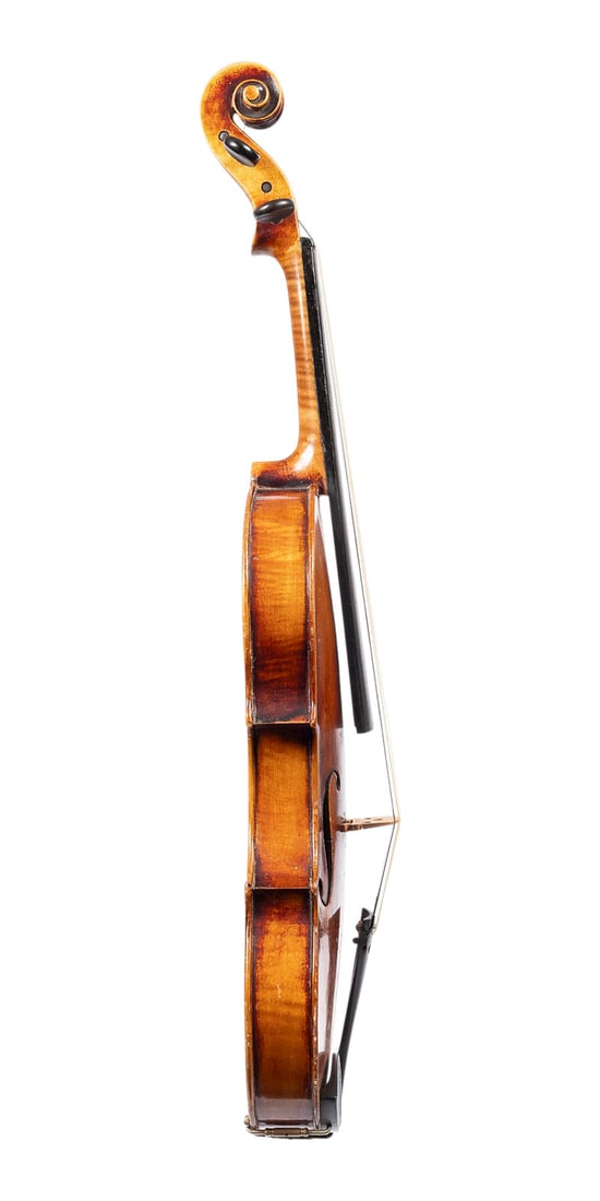 | VIOLINE - 3