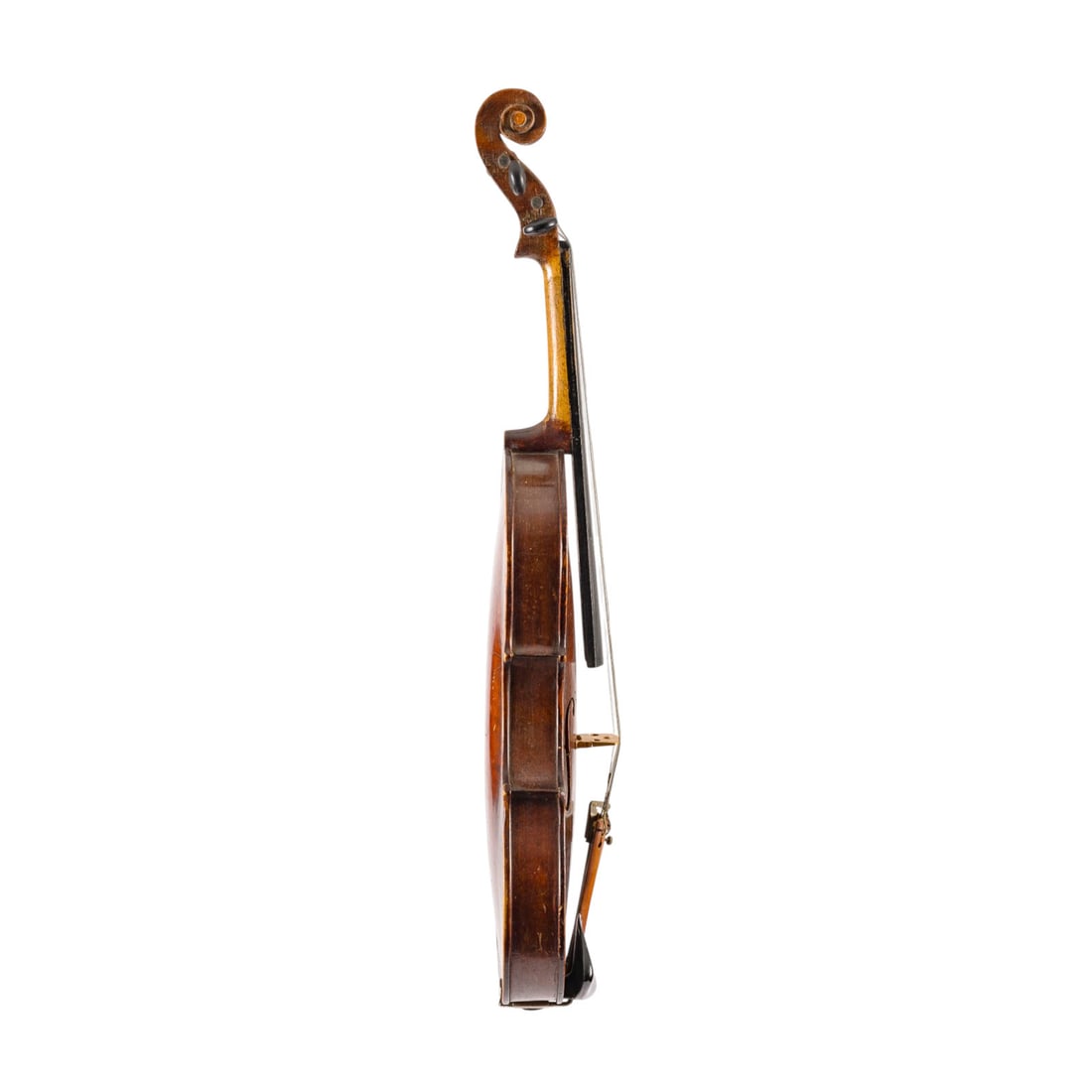 | VIOLINE - 2