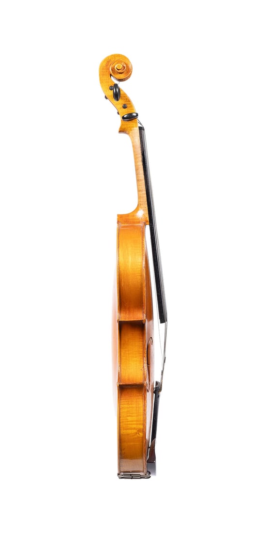| VIOLINE - 3