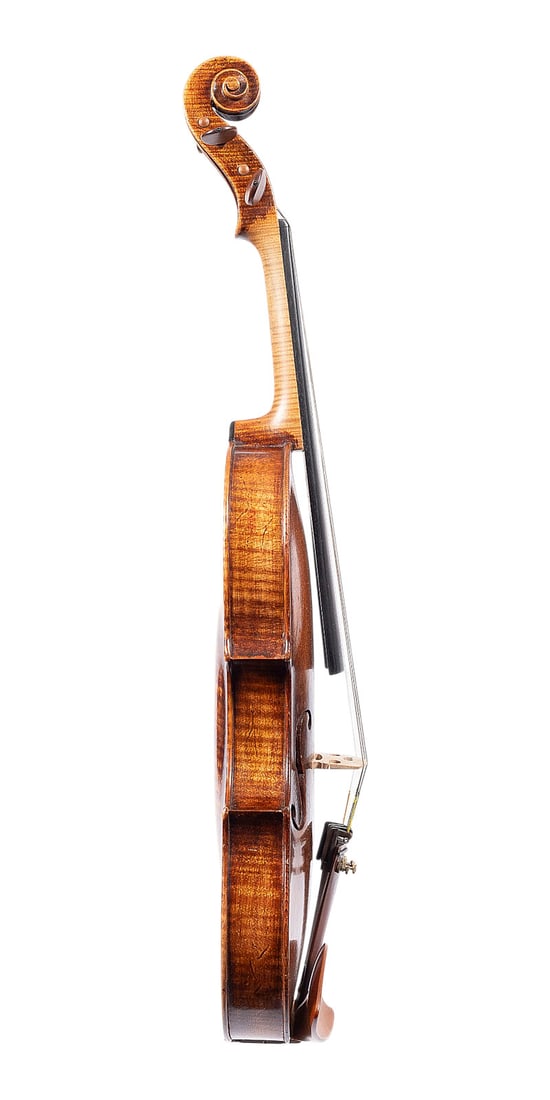 | VIOLINE - 3