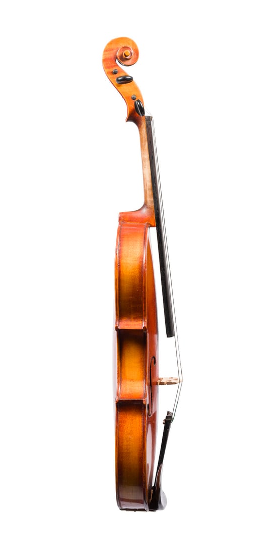 | VIOLINE - 3