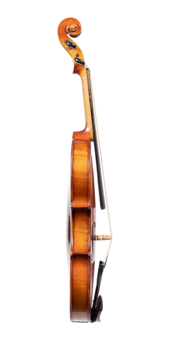 | VIOLINE - 3