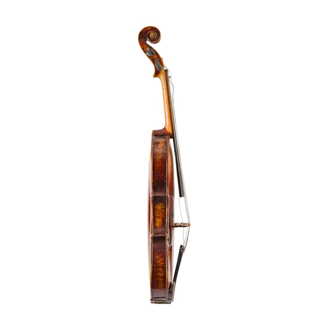 | VIOLINE - 2