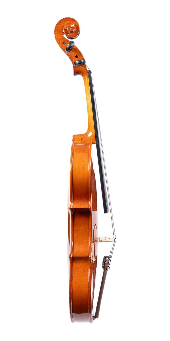 | VIOLINE - 3