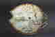 item-22396748=2