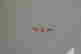 item-22396748=9