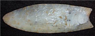 4 1/4 Inch Fluted Coral Spear, Florida