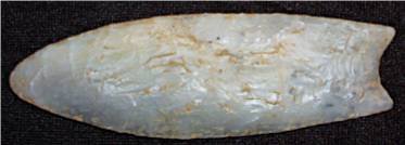 4 1/4 Inch Fluted Coral Spear, Florida - 2