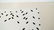 Larry Poons 1964 Ltd Ed Minimalist Abstract Screenprint - 5