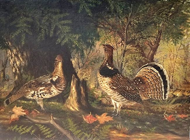 Lg Audubon or Tait School Sporting Oil: Victorian Animalier Sporting Painting, American or British School, Late 19th Century, Depicting a Pair of Game Birds Such as a Pheasant, Partridge, Grouse or Quail, Possibly a Male Rooster, Cock or Co