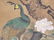 Chinese Japanese Korean Scroll Painting A - 2