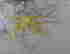 item-102726775=4