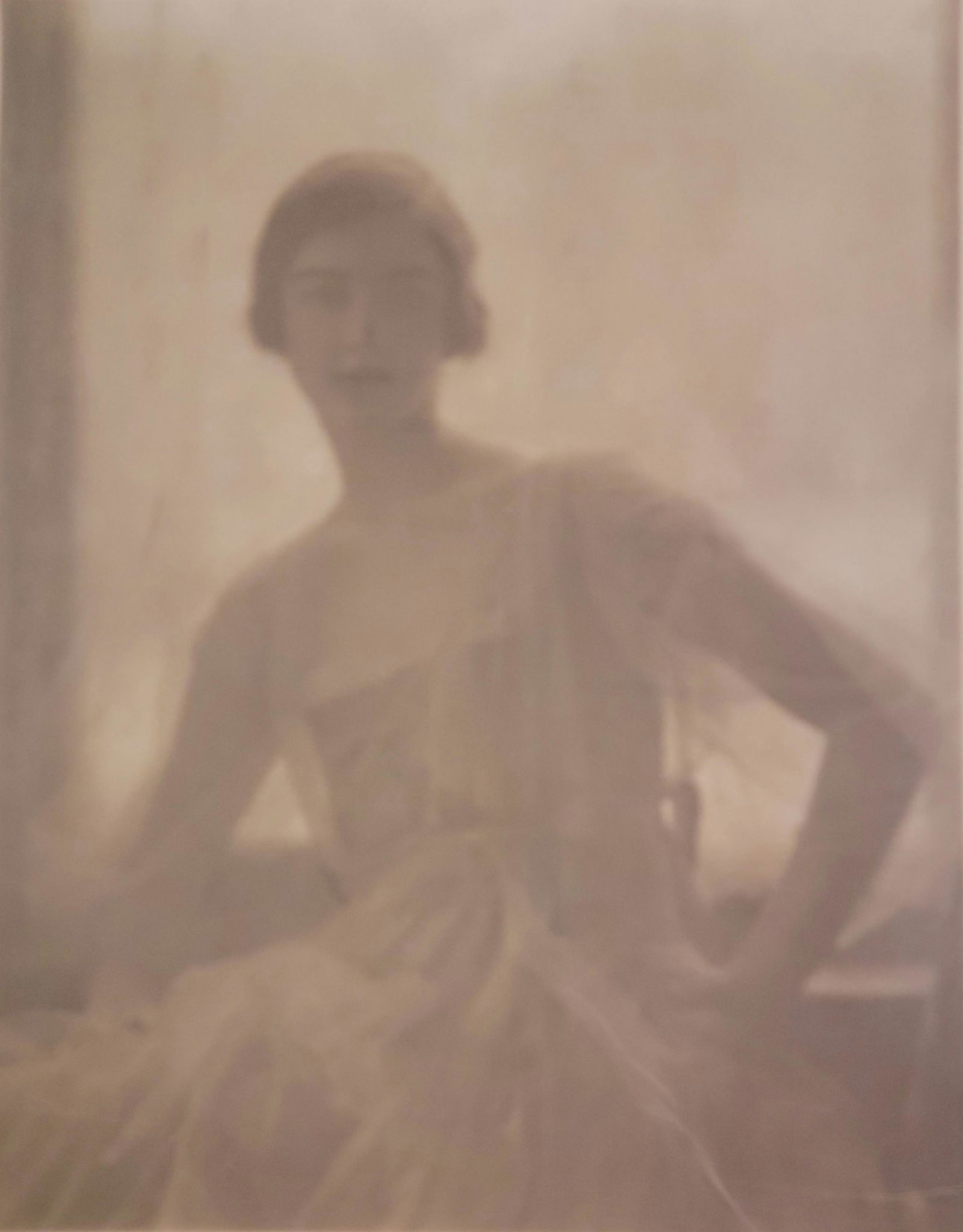 Vanderbilt Estate Baron Adolph De Meyer GVW Photo I (1 of 10)