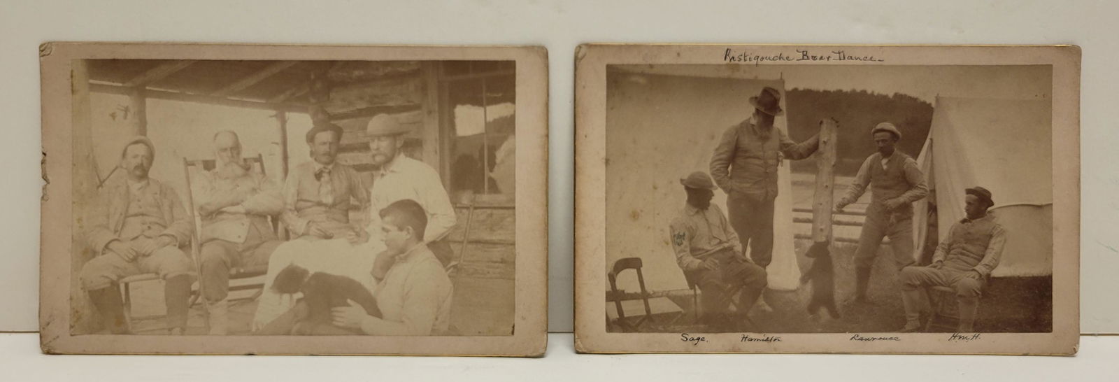 Vanderbilt Archive Dancing Pet Bear Cub Card Photographs