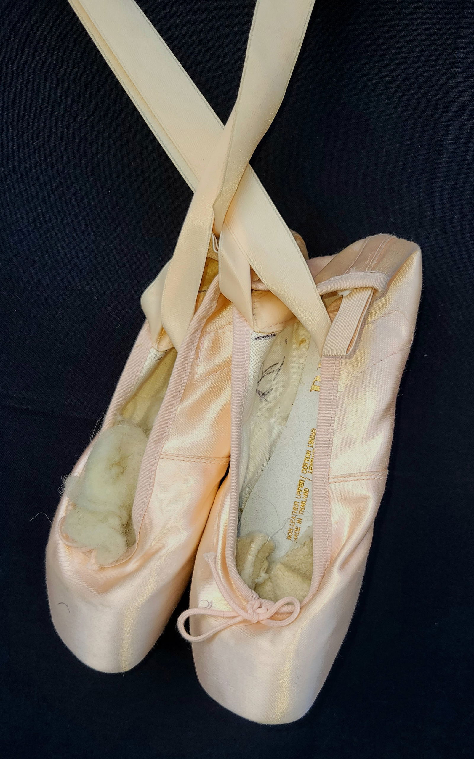 Irene Cara Estate Bloch Pointe Ballet Shoes COA (1 of 2)