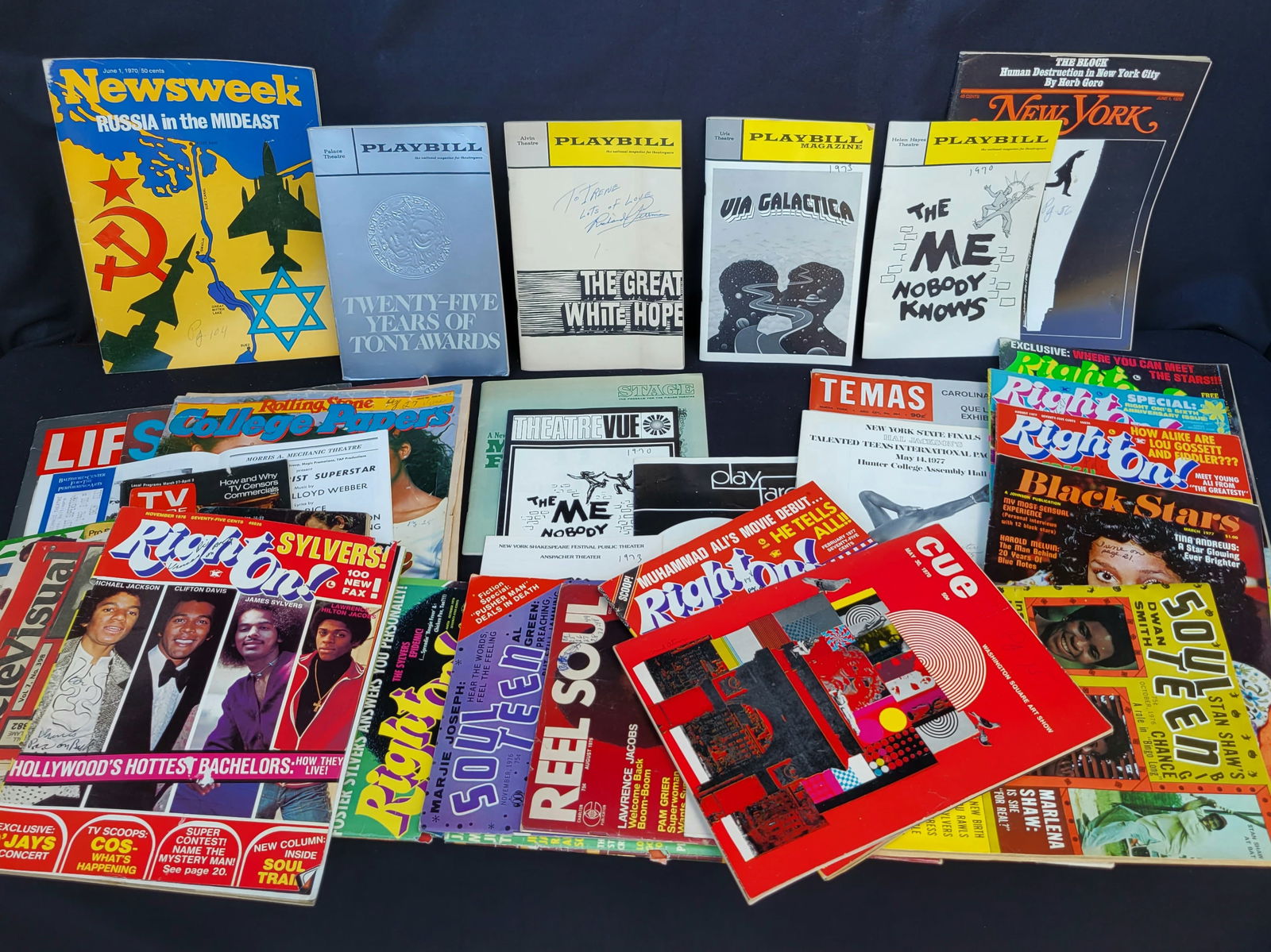 Irene Cara Estate Over 30 Personal Copy Playbills Magazines Programs TV Guides COA: Irene Cara Estate Over 30 Personal Copy Playbills Magazines Programs TV Guides COA. The artists personal copy archive of many publications in which she appeared and some playbills appear to be shows s