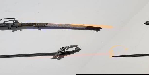 2 Turn Of The Century Continental Military Officers Swords One With A Scabbard: 2 Turn Of The Century Continental Military Officers Swords One With A Scabbard. Shipping: Visit StedmanShipping Dot Com for all info. Note large or heavy bronzes and concrete garden items may cost as