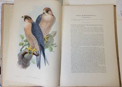 J Gould Birds Of Asia 16 Lithograph Set Vol XX London 1868 Folio 22.5in x 15.5in Book 22.125in x