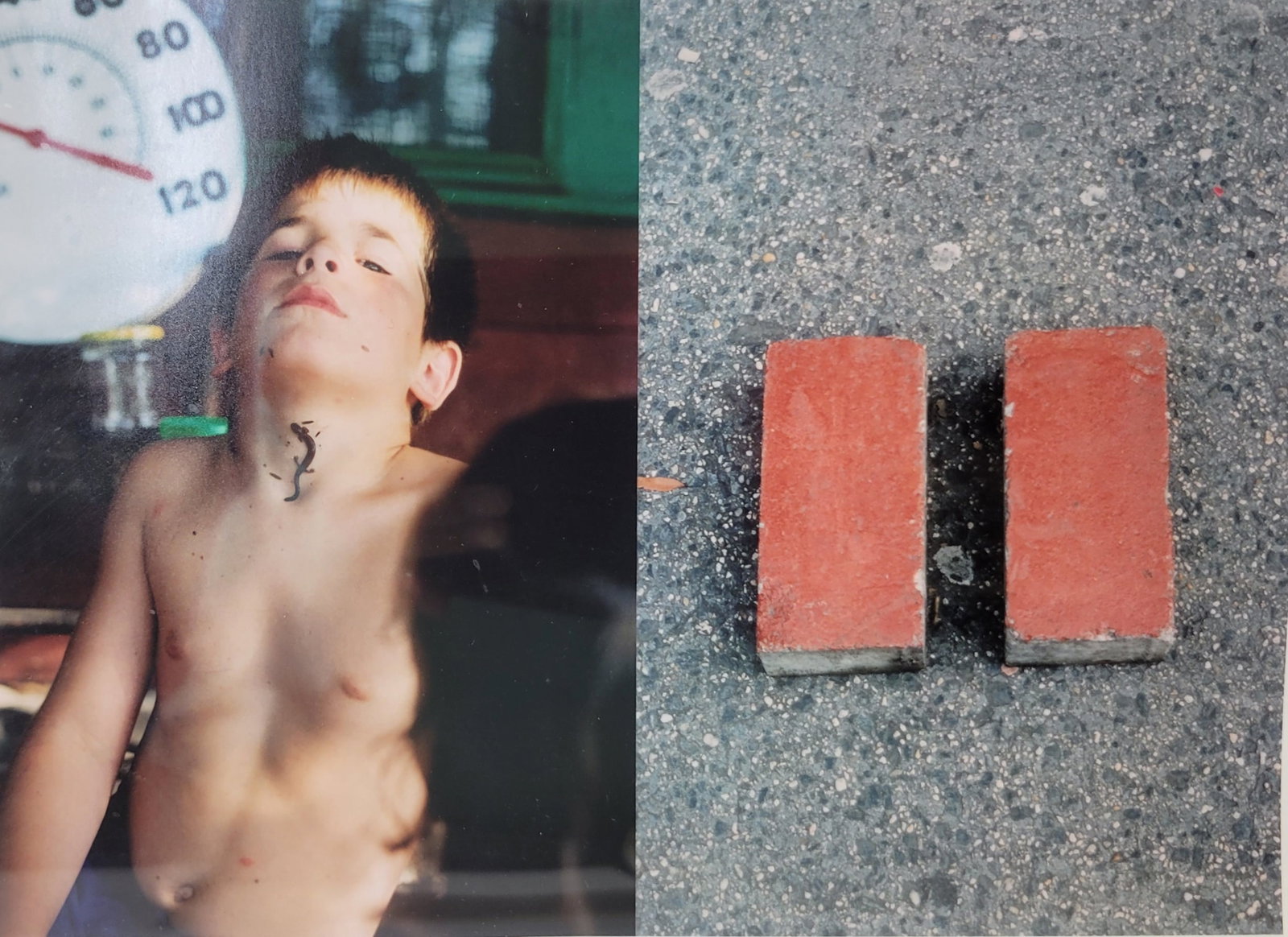Matt Magee 1997 Avant Garde Collage Type Photograph Young Shirtless Boy Brick Red Salamander Framed (1 of 3)
