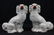 Pair large Staffordshire dogs, 12 in. T, 12 in W,