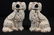 Pair Staffordshire dogs, 10 in. T, 7 in. W.