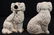 Pair Staffordshire dogs, 10 in. T, 7 in. W. - 3
