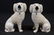 Pair Staffordshire poodles, 7 in. T, 5 in. W.