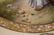 Royal Vienna plate with bee hive mark, 9.5 in. R. - 3