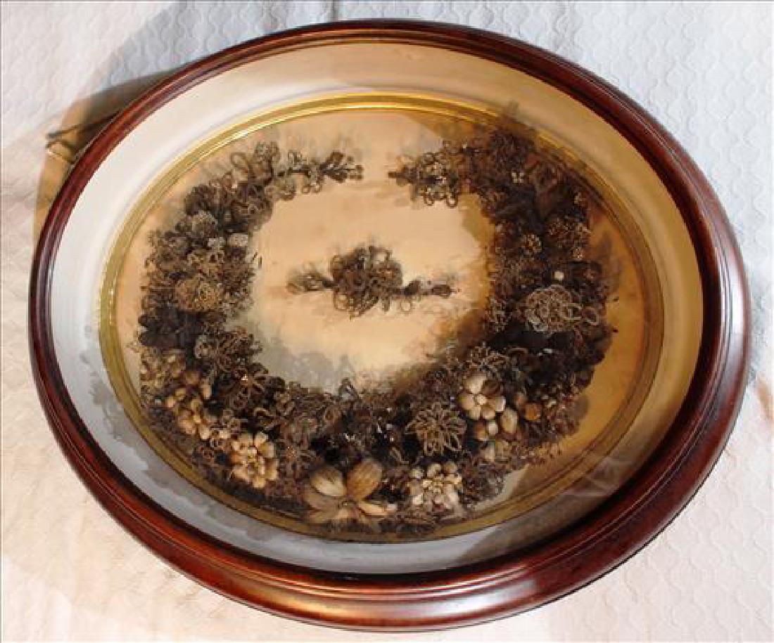 Oval Victorian walnut shadowbox containing a hair (1 of 3)