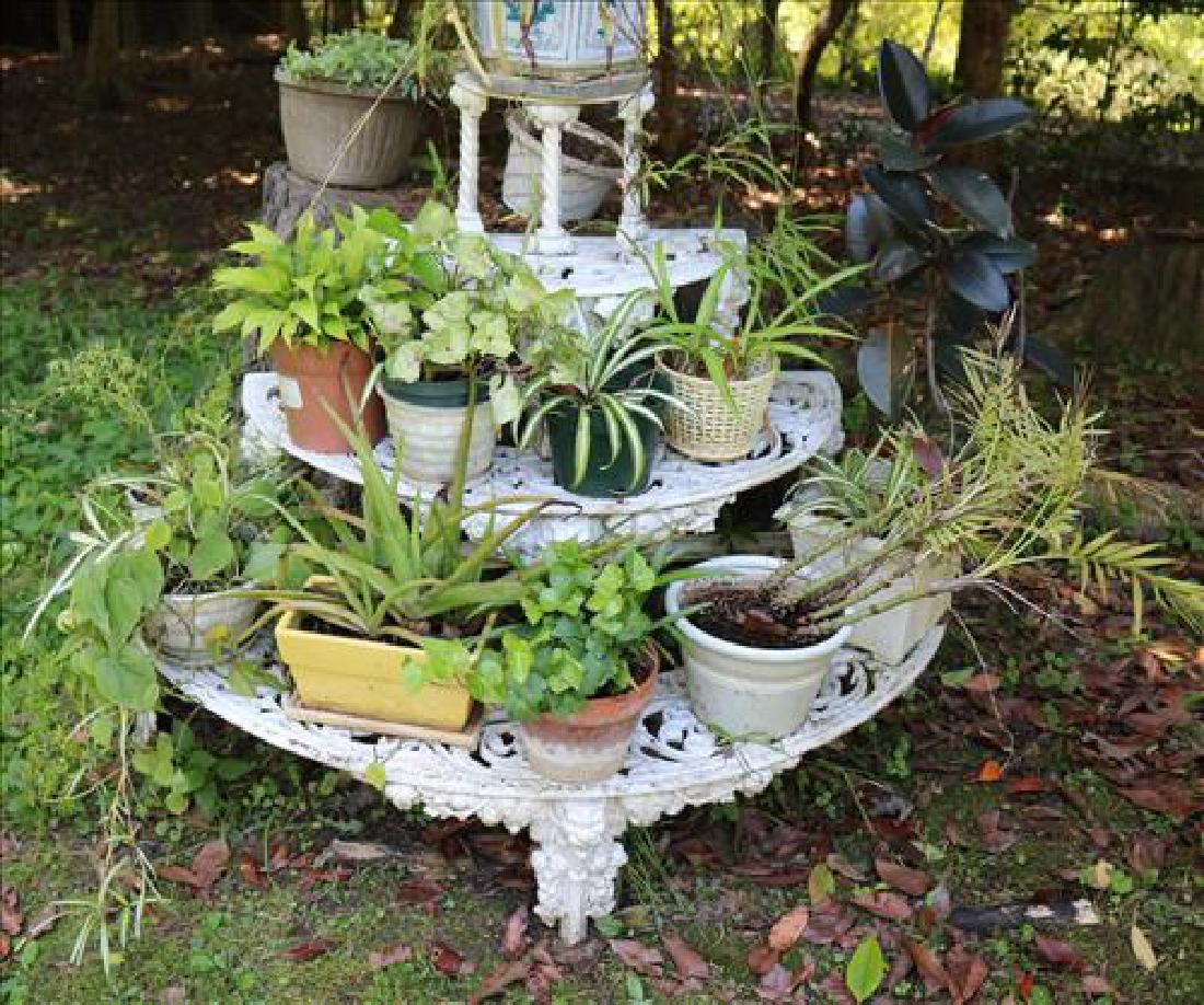 picture Semi Circle Plant Stand tier cast iron semi circle plant stand