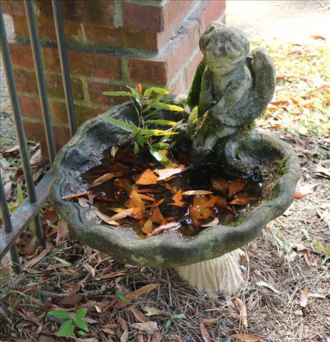 Small concrete bird bath with an angel: Small concrete bird bath with an angel