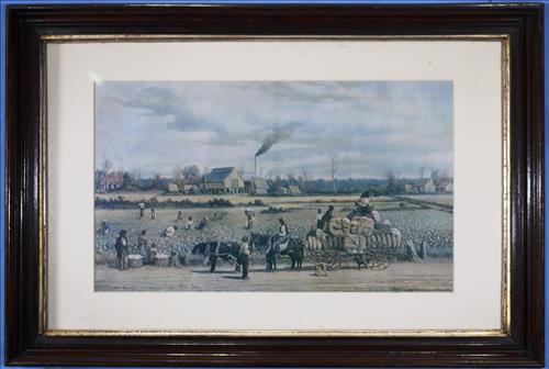 William Aiken Walker print of LA Cotton Field: William Aiken Walker print of Louisiana Cotton field, 25 x 27
