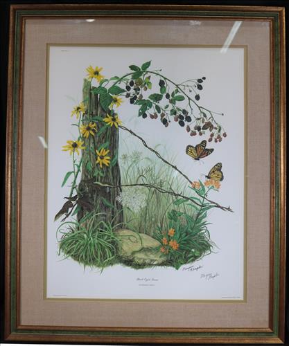 Early print of Black Eyed Susans, signed, 36 x 29: Early framed and matted print of Black Eyed Susans, signed by artist Maryrose Wampler and numbered, 36 x 29