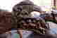 item-119707394=2