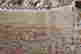 item-129021607=4