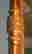 item-129086557=3