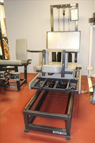 Trotter Leg Press from Private Gym (1 of 4)