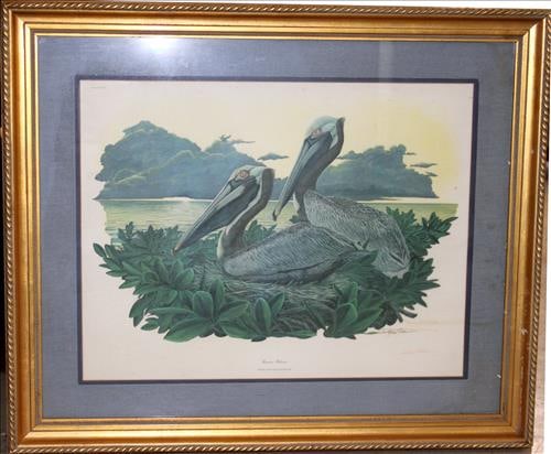 Original artwork by Richard Sloan of "Brown Pelican" 38 x 32: Original artwork by Richard Sloan of "Brown Pelican", It is said his birds have the excitement, charm and authenticity of a moment caught in time, 38 x 32