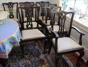 8 Chipendale chairs in fair condition, good upholstery