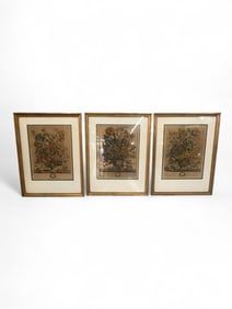 Set of Three Framed Hand-Colored Botanical Engravings, After Robert Furber, “Months of Flowers