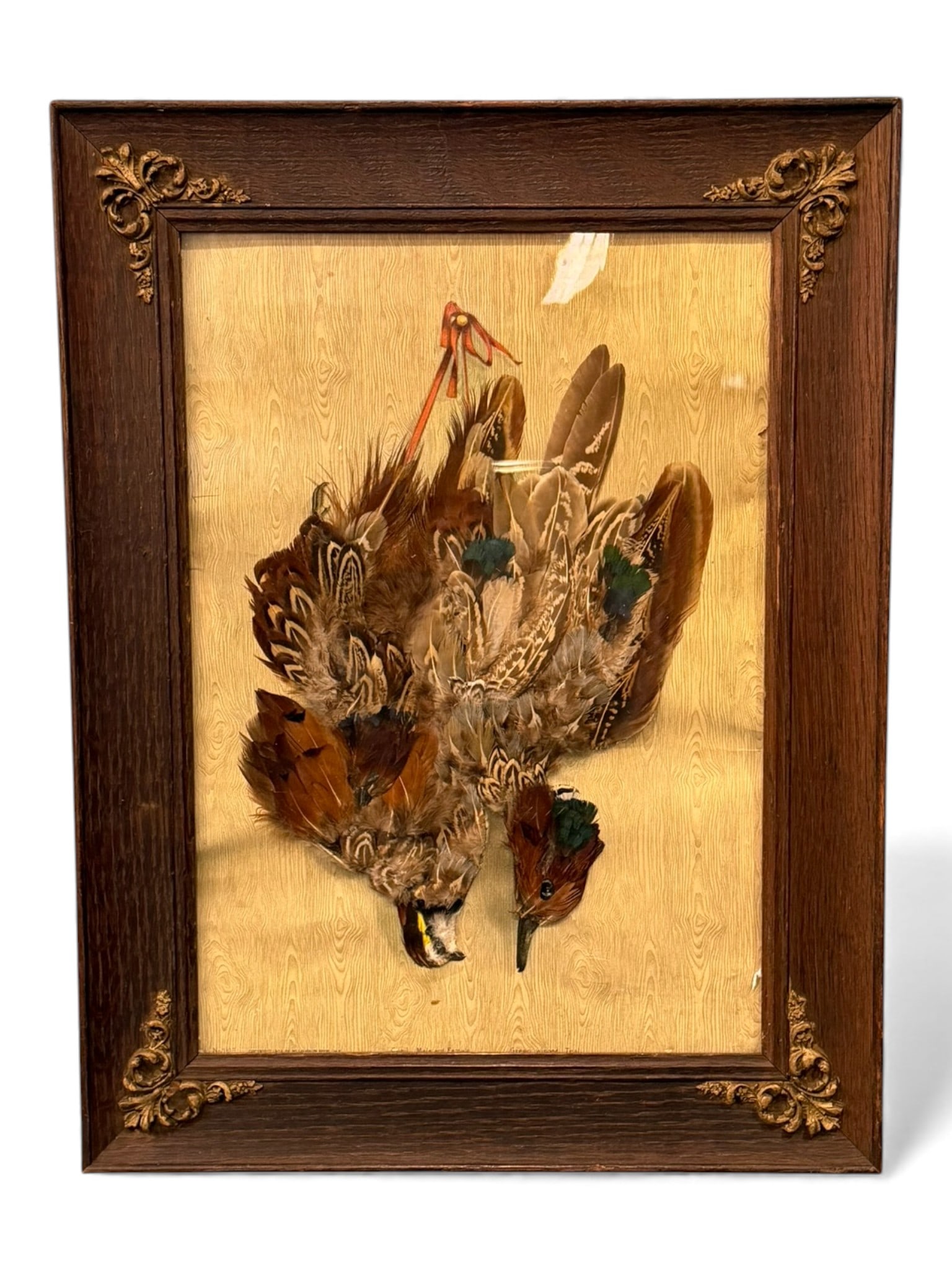 Framed Folk Art Display of Two Birds with Feathers, late 19th–early 20th century (1 of 2)