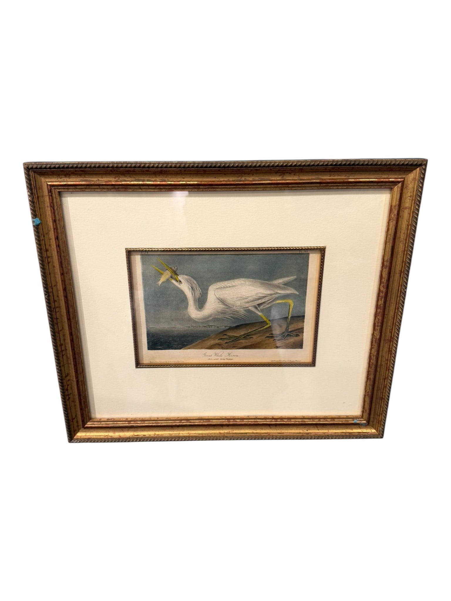 After John James Audubon (1785–1851), “Great White Heron,?? Plate 368 (Octavio Collection) (1 of 2)