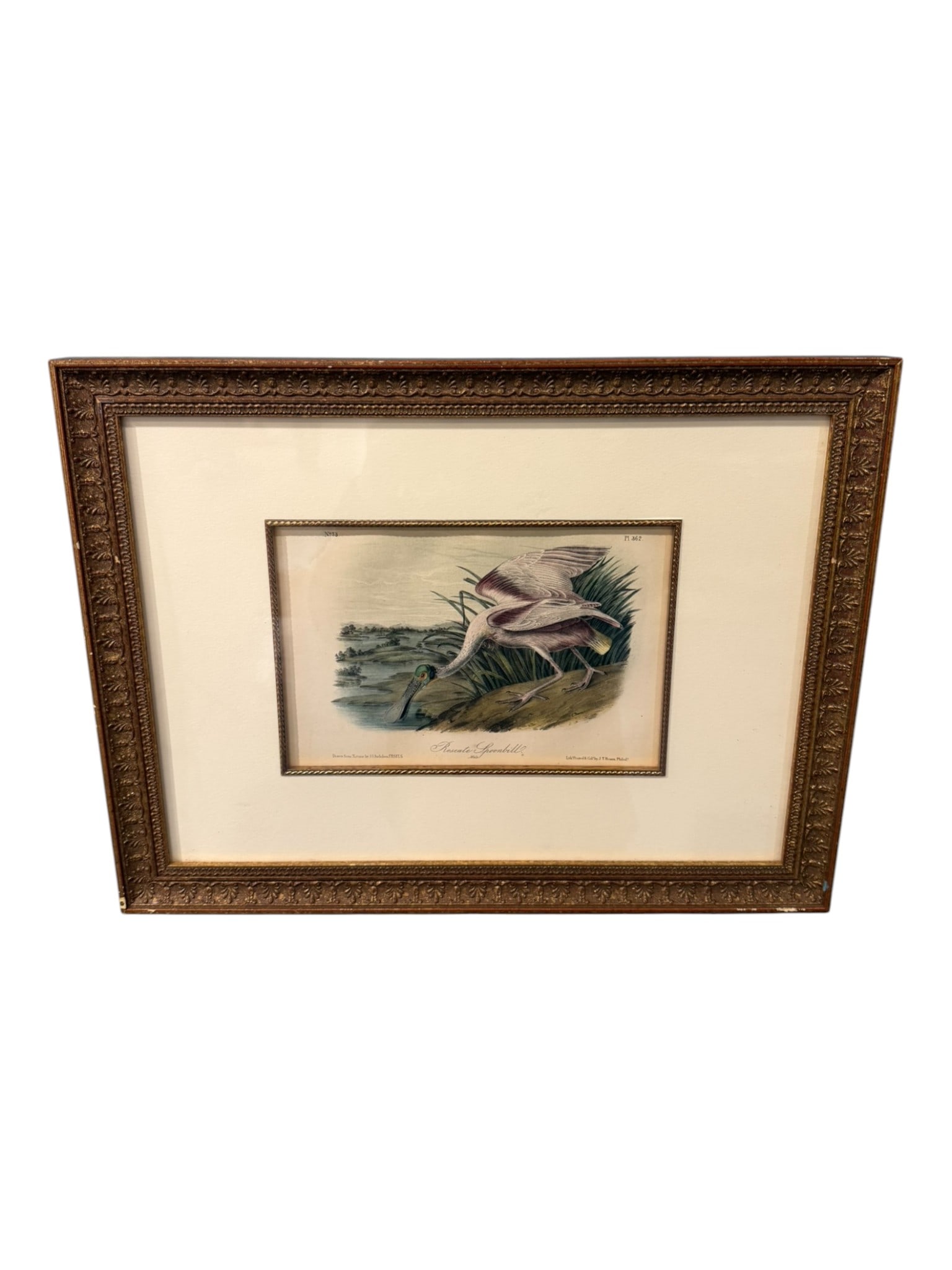 John James Audubon, “Roseate Spoonbill," from The Birds of America (Octavio Collection) (1 of 2)