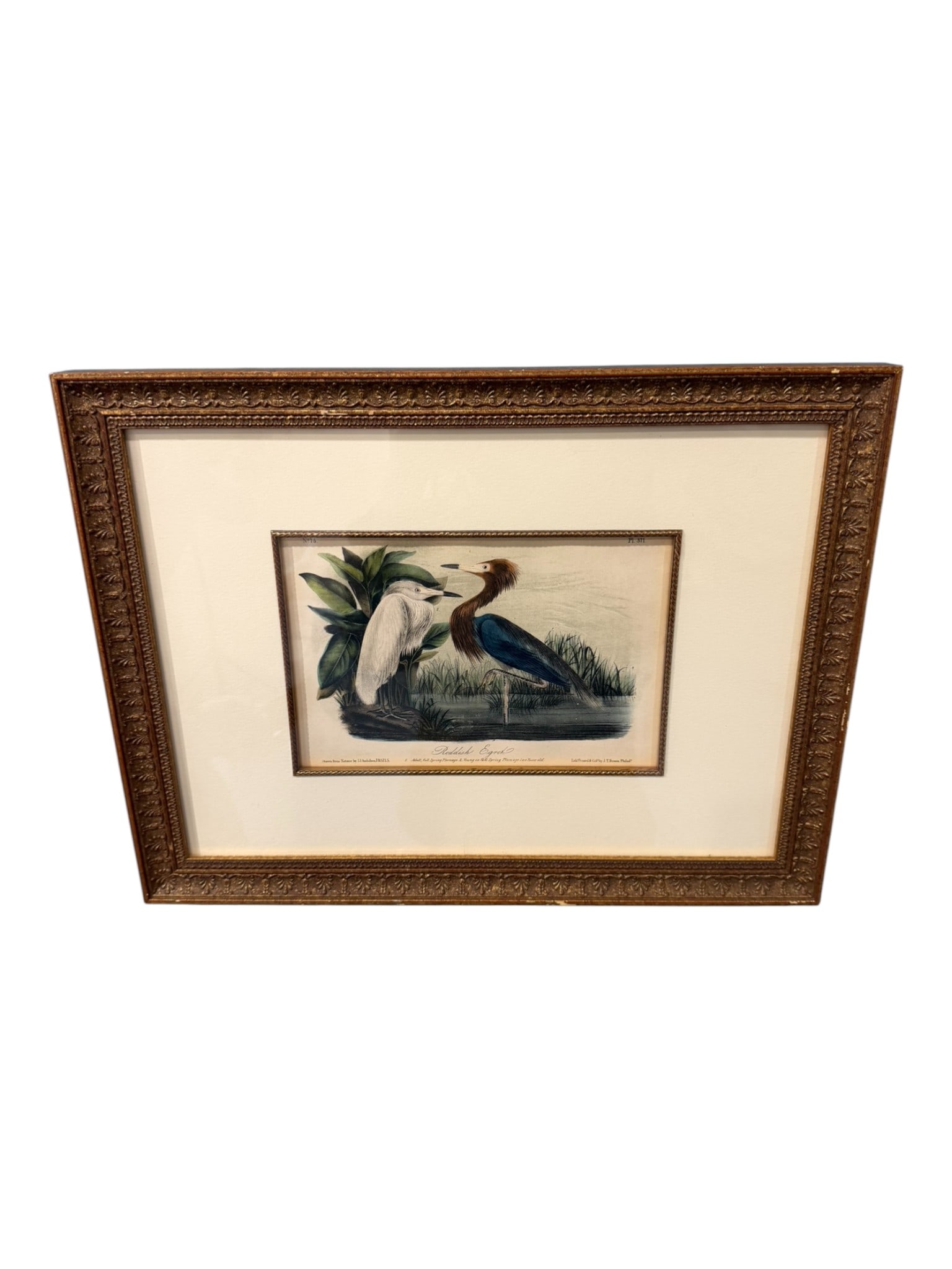 John James Audubon (after), “Reddish Egret,?? Plate 75, from The Birds of America, Octavio (1 of 2)