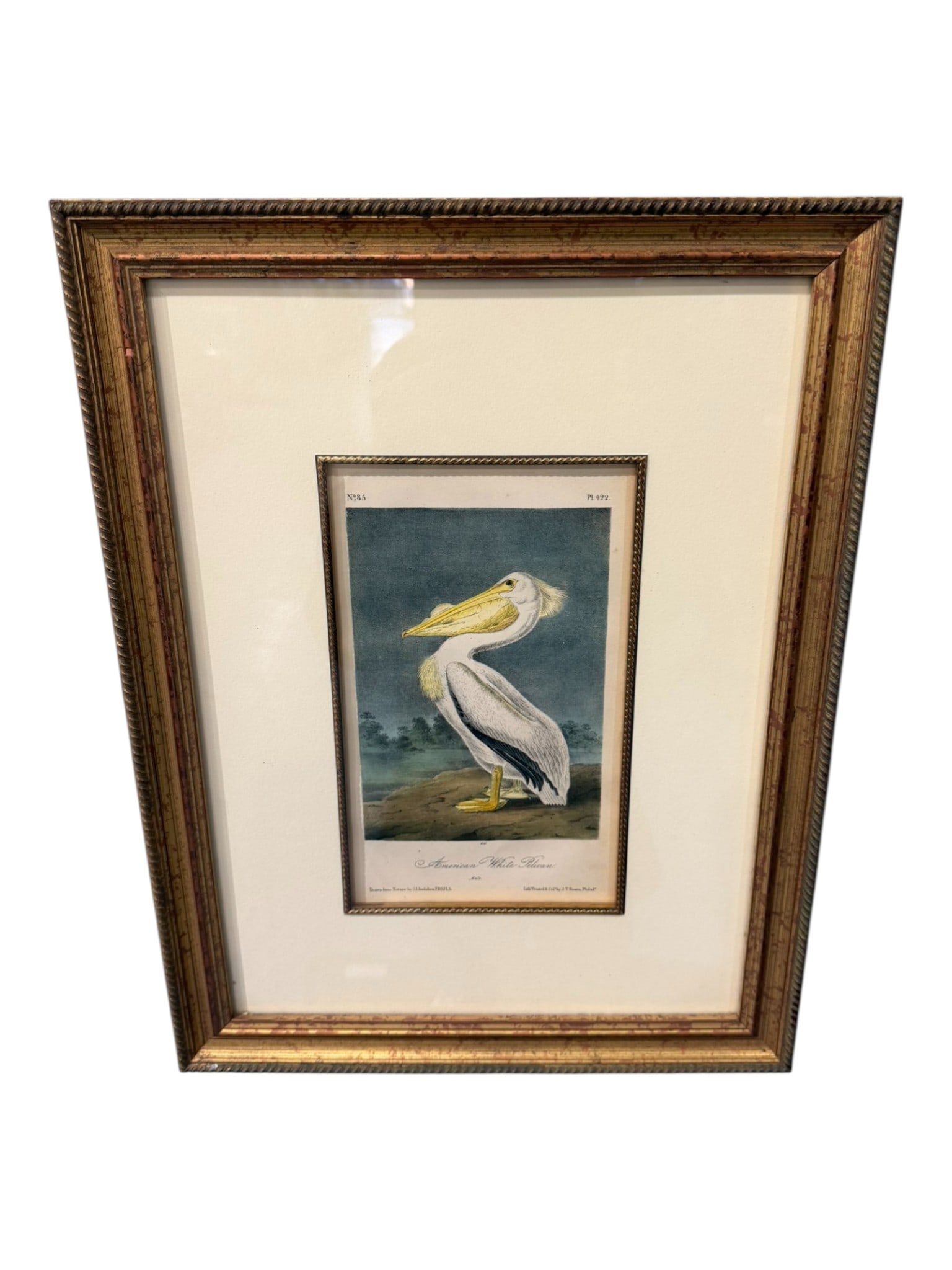 John James Audubon Hand-Colored Lithograph, “American White Pelican,?? Plate 422 (Octavio (1 of 2)