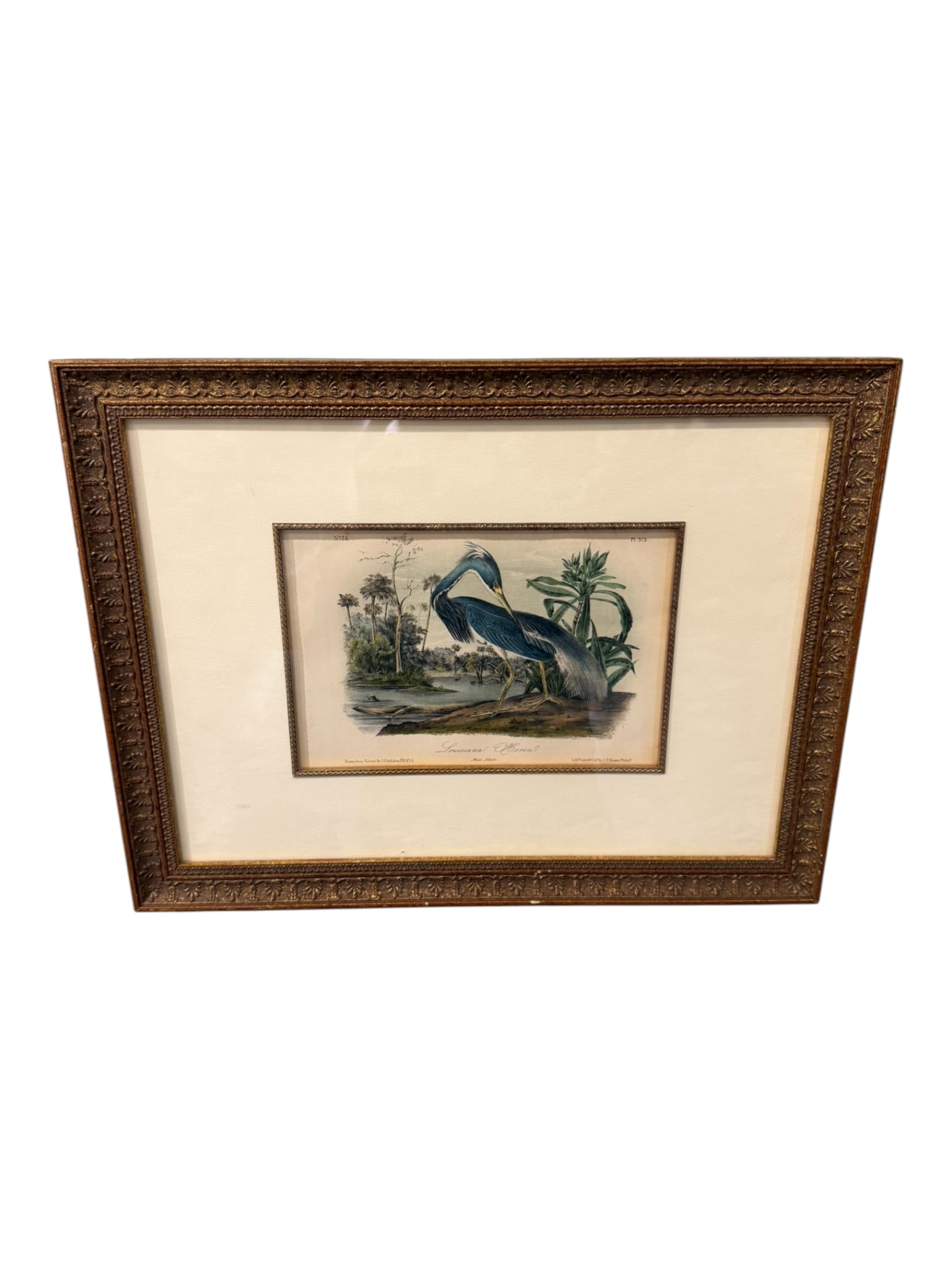 Audubon “Louisiana Heron?? Hand-Colored Lithograph (Plate 373), Octavo Edition. (1 of 2)