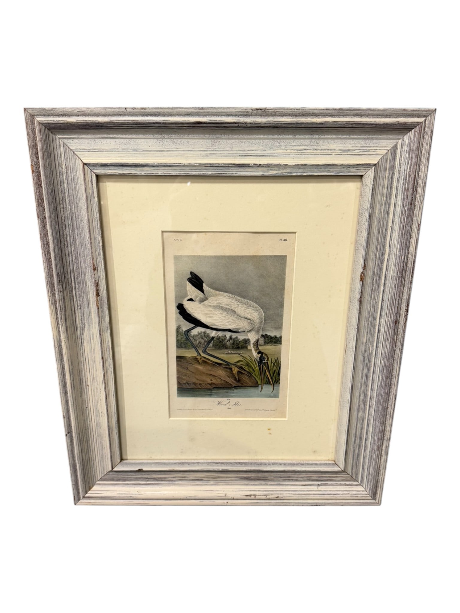 John James Audubon (1785–1851), Wood Ibis (White Ibis), Plate 361, from The Birds of America: Early hand-colored lithograph, drawn from nature by J.J. Audubon and printed and colored by J.T. Bowen, Philadelphia, Plate 361. This finely detailed composition depicts the Wood Ibis in a characteris