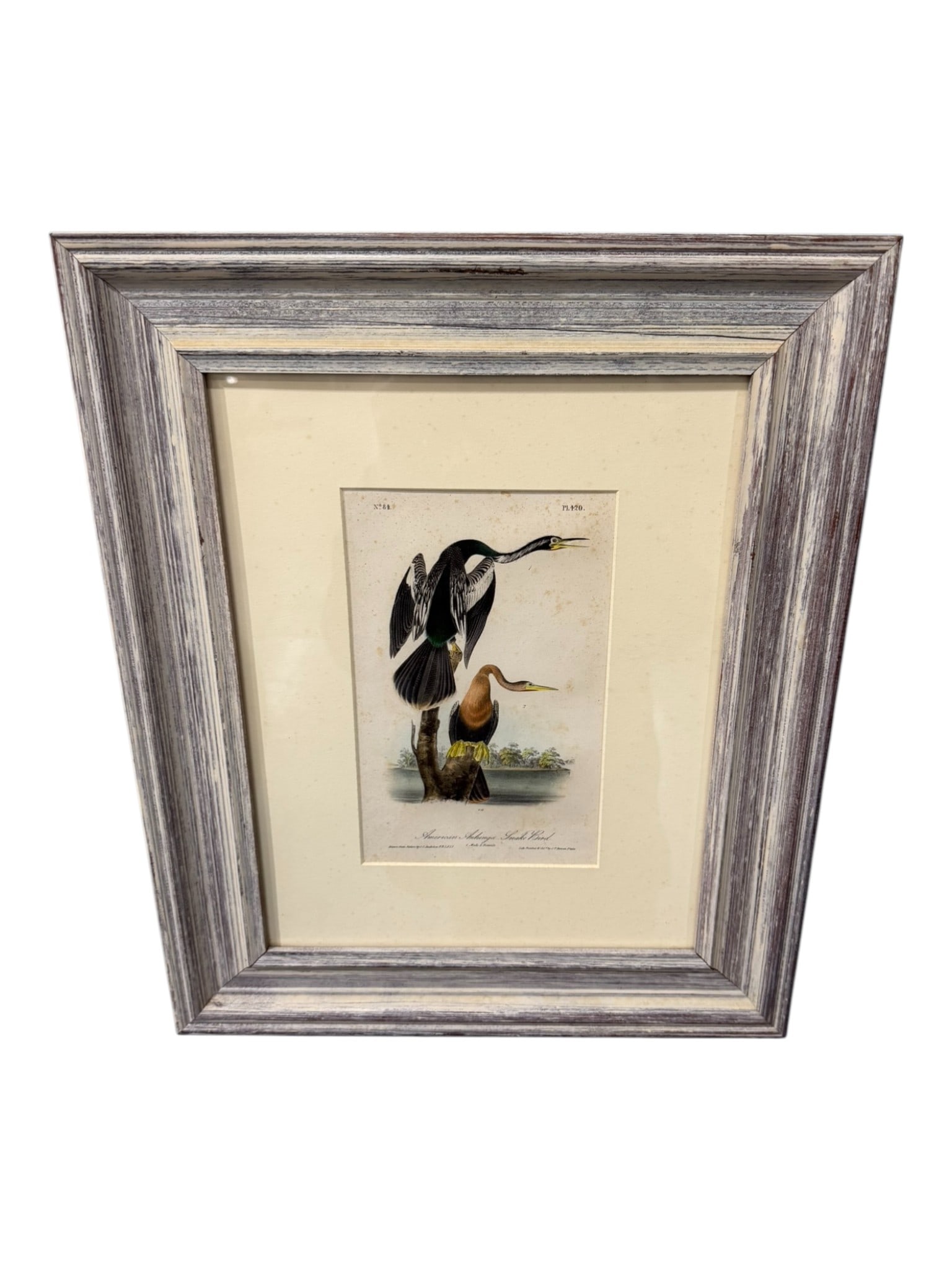 Audubon “American Anhinga (Snake Bird)?? (Octavo Edition), Plate 420 (1 of 2)