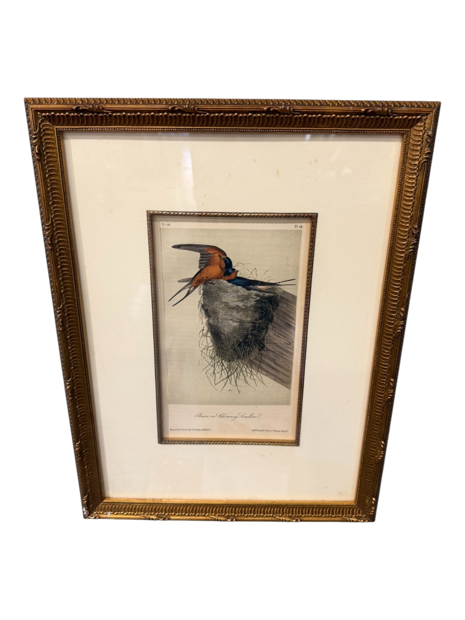 John James Audubon (1785–1851) Barn or Chimney Swallow, Plate 48: From The Birds of America, this hand-colored lithograph depicts the Barn (or Chimney) Swallow in an intimate nesting scene, capturing Audubon’s hallmark combination of scientific observation and