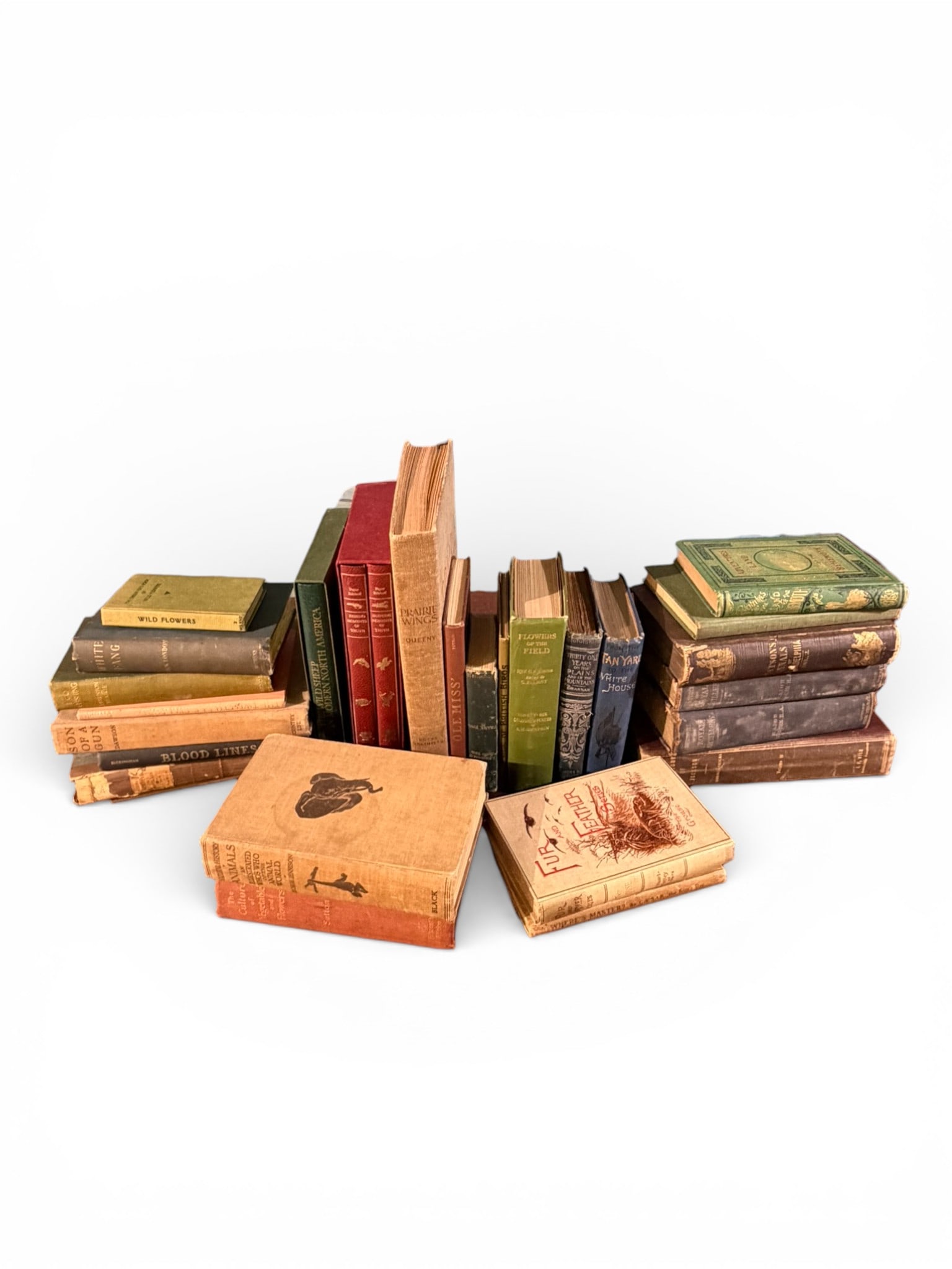 Large Grouping of Antique & Vintage Natural History Books (28 Volumes): A large and appealing grouping of twenty-eight (28) antique and vintage books covering natural history and related subjects, including flowers, animals, birds, field studies, and general nature writin